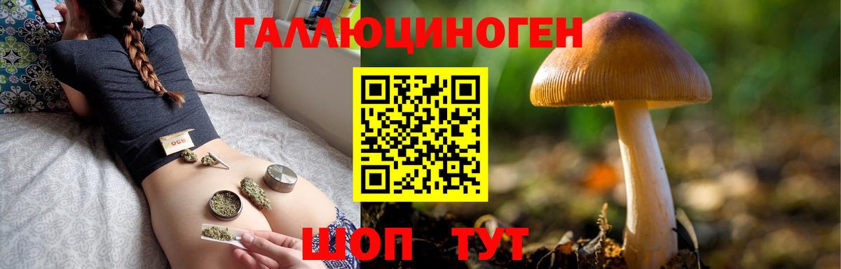 Минусинск  Псилоцибиновые грибы Psilocybine cubensis  Вход с VPN 